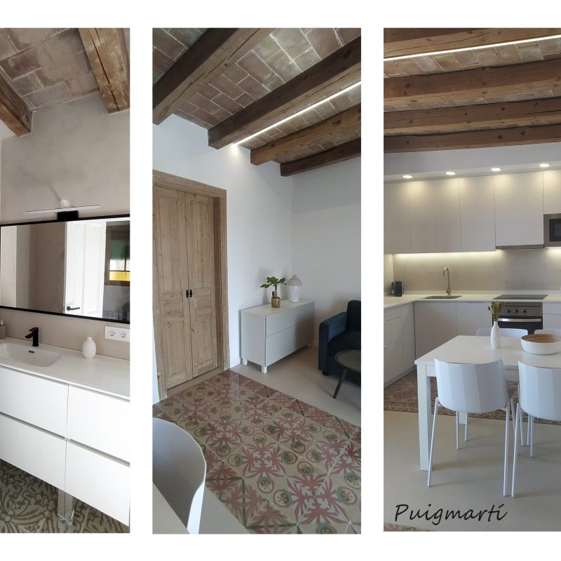 Puigmartí composición 1 - copia