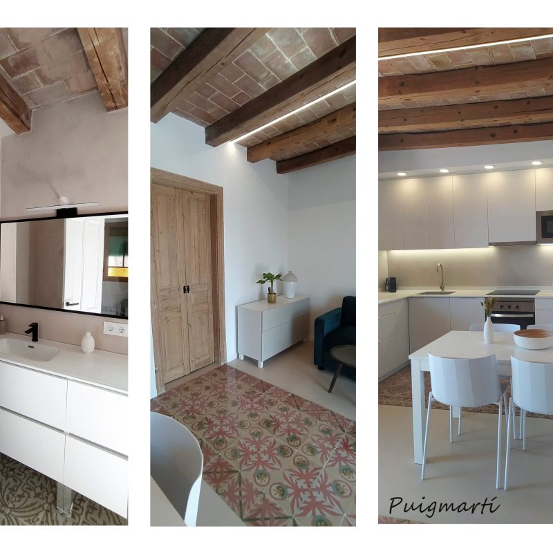 Puigmartí composición 1 - copia